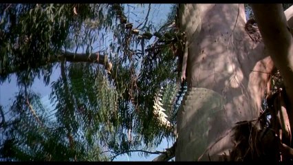 BlackVenom Ash: Top Dubstep Hits 🎶