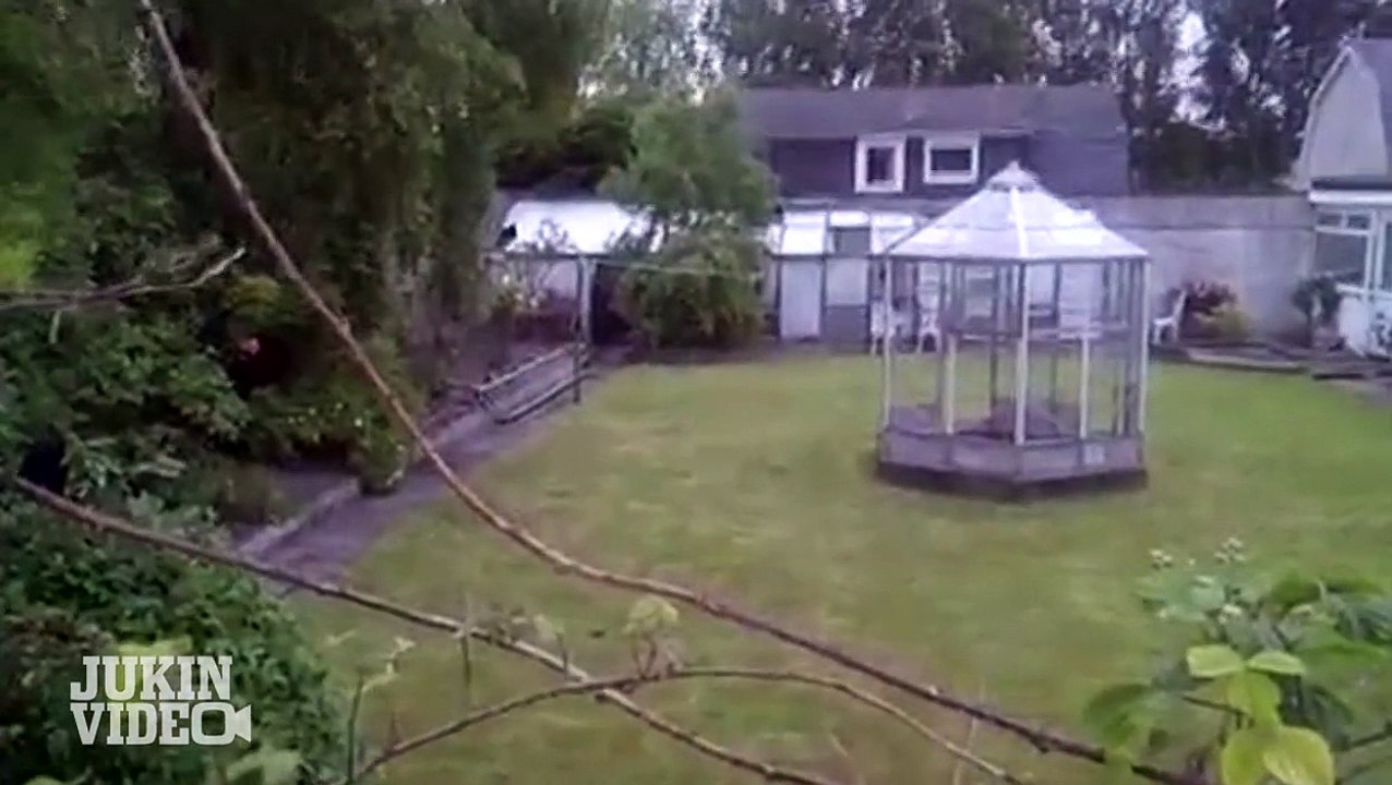 Element of Surprise | Scared Deer Attacks!