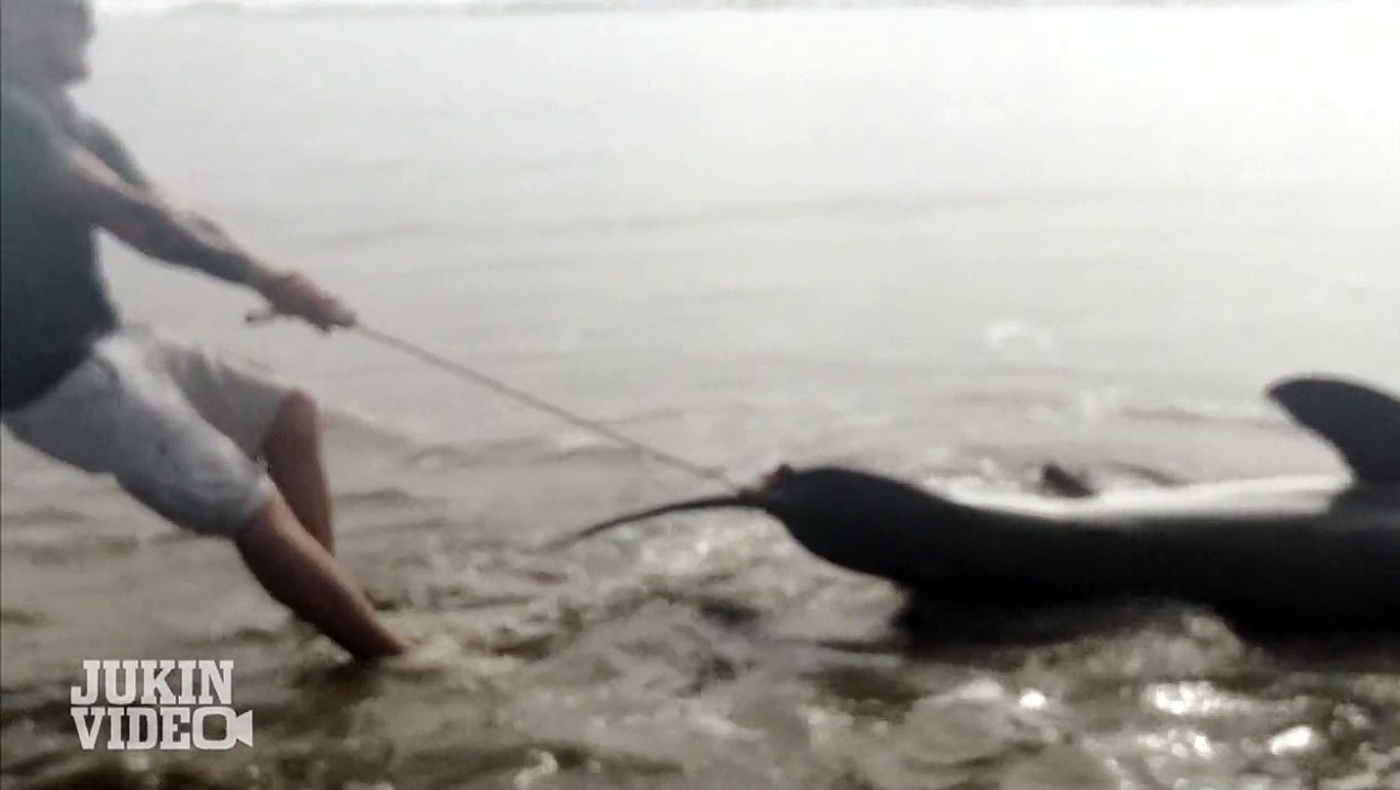 Fishing For Great White Shark | INCREDIBLE Catch and Release