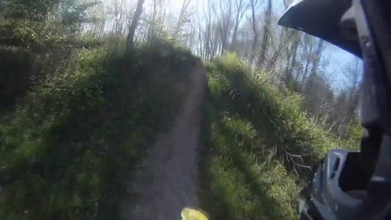 Dude Crashes Motorcycle Into A Tree!