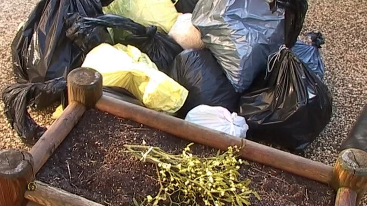 Pas de puce pour Dunières (Haute-Loire)