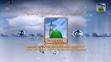 Package 55 - Bologna Italy Me Juloos e Milad, Rabi ul Awal 1433