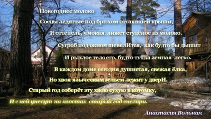 Стихотворение Анастасии Вольной  "Новогоднее молоко"