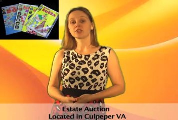 Estate Auction in Culpeper VA