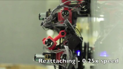 سحلية آلية الى الفضاء قريبا