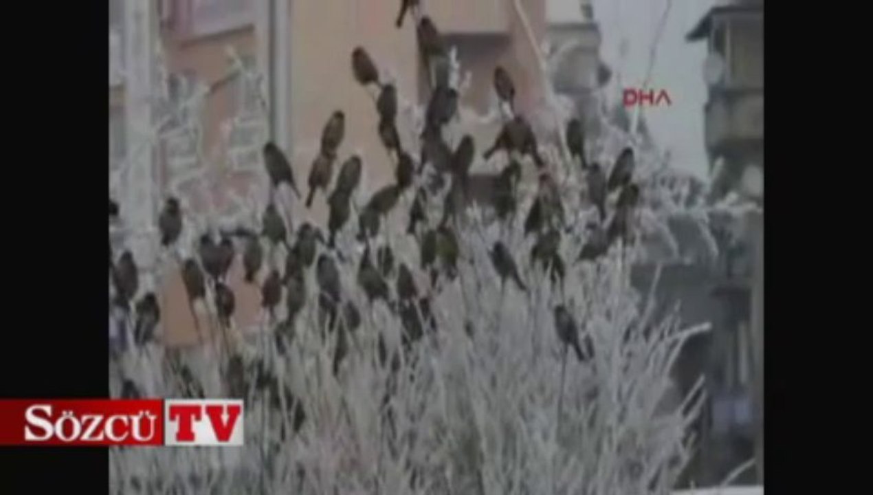 Çeşmeler bile buz tuttu