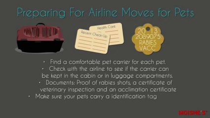5 Steps To Make Moving With Pets Easier (Video by Moishe's) - YouTube [360p]