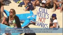 Des Australiens manifestent contre une loi anti-requins
