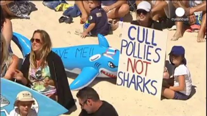 Thousands protest Western Australia catch-and-kill shark cull plan