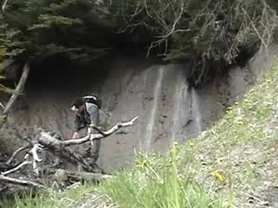 Ausable River Canoe Trip