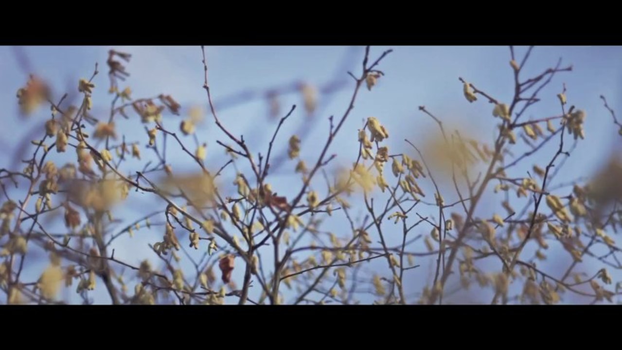Nature 2014 [Full HD 1080p]