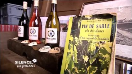 Vin de sable - Vin des dunes