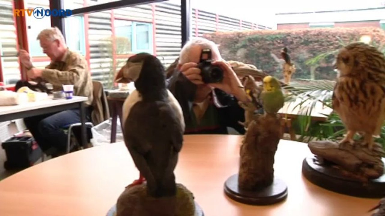 Lollinga brengt dode dieren tot leven - RTV Noord