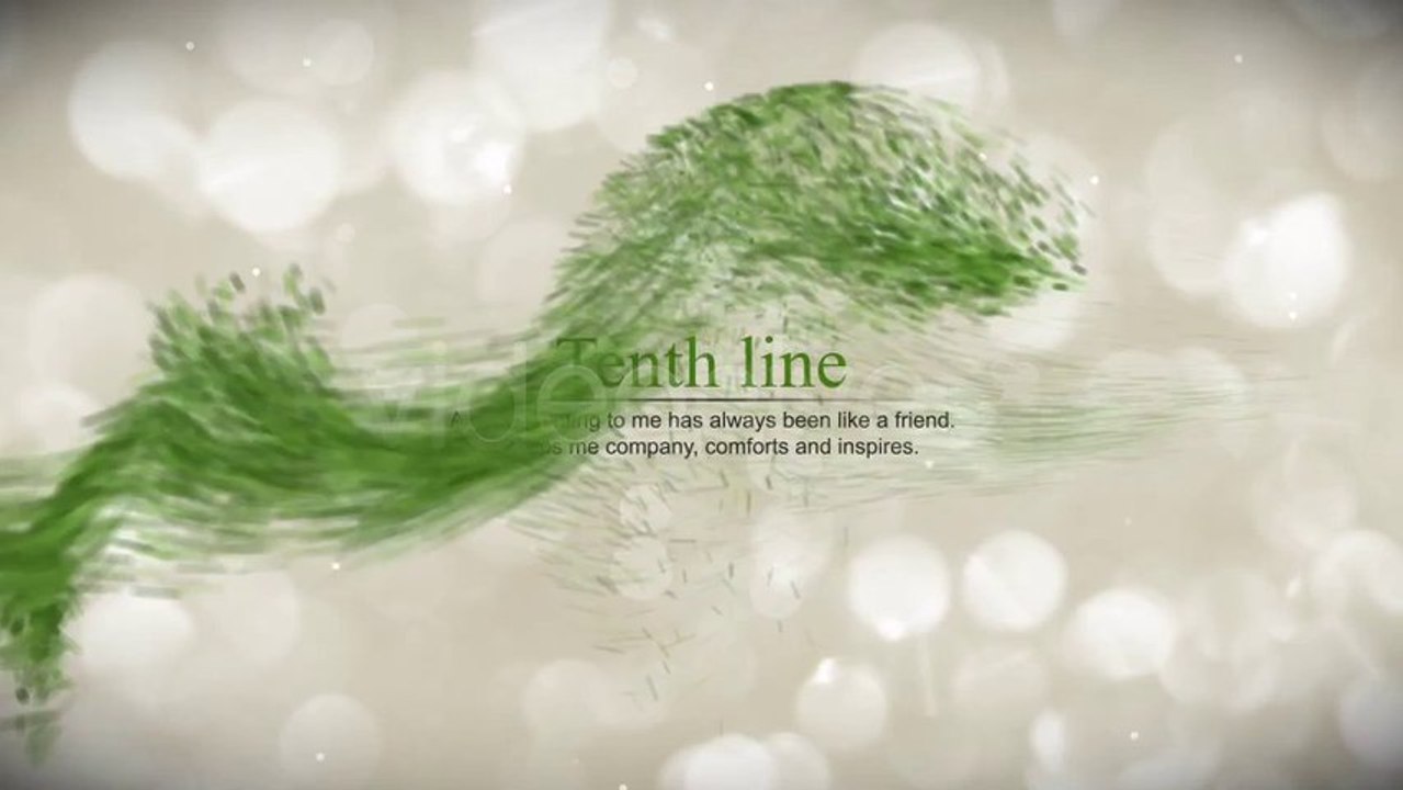 Stylish Words - After Effects Template