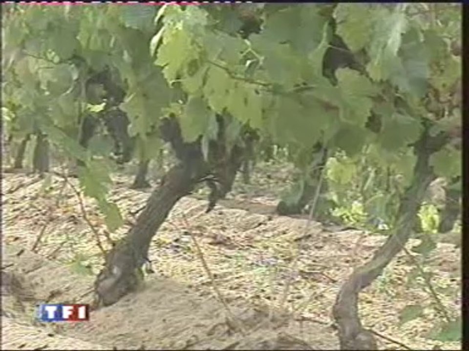 vin-des-dunes-capbreton