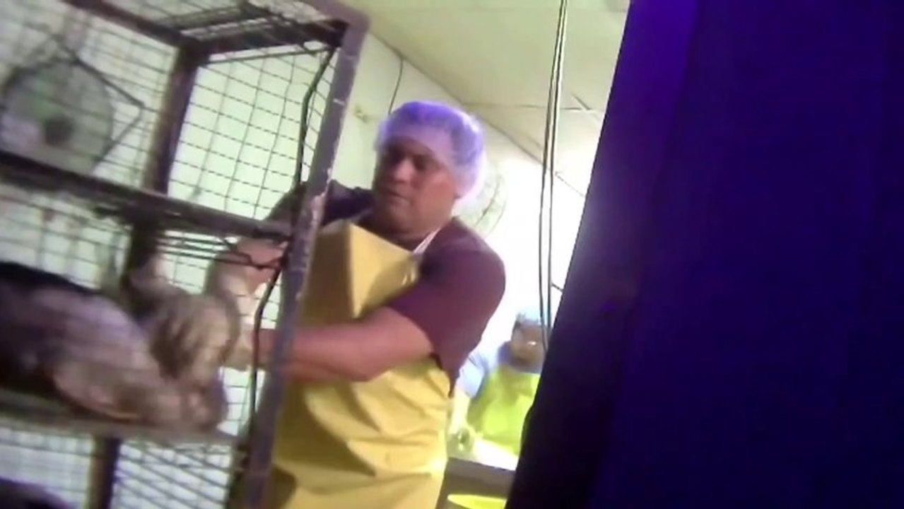 Tell Amazon.com to drop foie gras