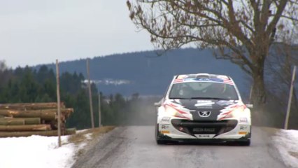 ERC AUSTRIA ACTION FROM LEG1