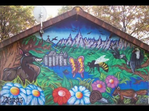 Croug Fresques Divers (Psyko culture)