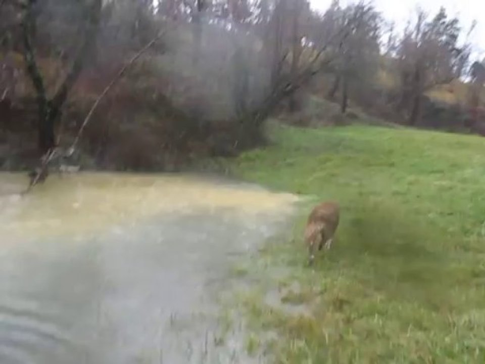 Jour de pluie 6