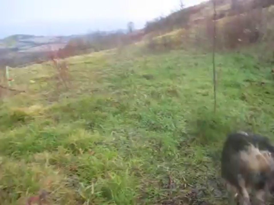 Jour de pluie 8