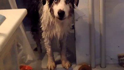 slimane the voice chante dans la douche!