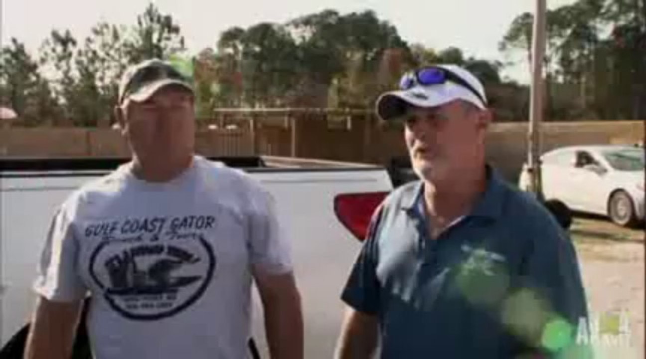 Aligator Bite to Man Head No Joke