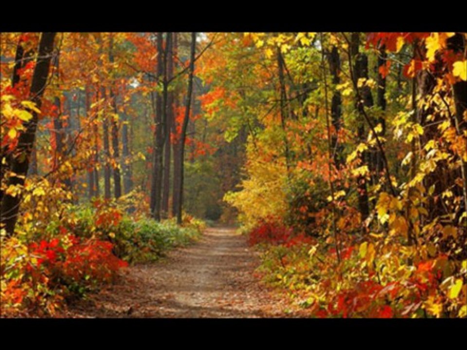 Corringe - Brocéliande - Concert salle Jeanne d'Arc à St Etienne - 1983