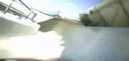 Park City bobsleigh track on board