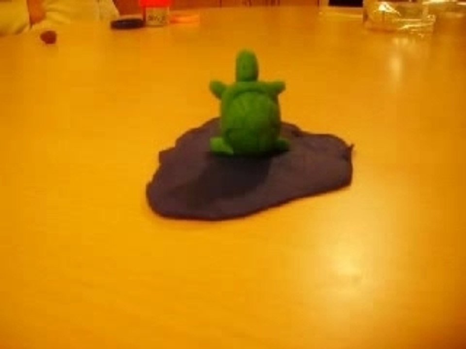 Turtle