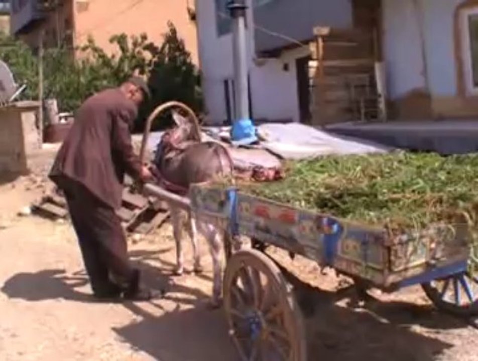 sücüllü den  görüntüler.. (demirağaç video )