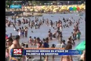 Argentina: nuevo ataque de palometas deja al menos 18 heridos