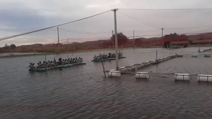 Mô hình nuôi cá chim vi vàng trong ao đất