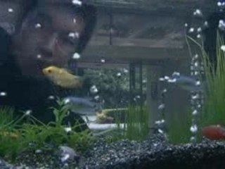 1 Litre of Tears Ep.2-1