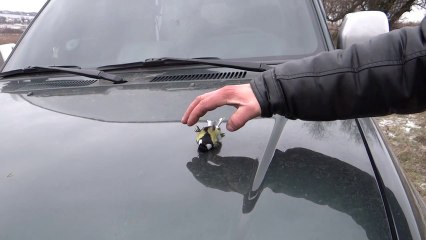 Dead Bird... or not! Funny animal reaction!