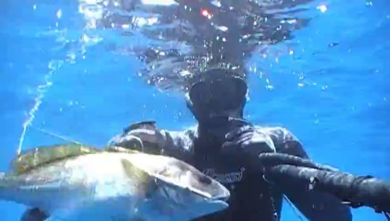 chasse sous marine les Corbs de Méditerranée !!! Cressi Sub