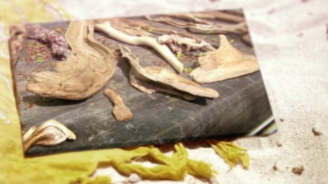 Puricatione Driftwood Table Lamp Home Decor - Desk Table Floor Lamp