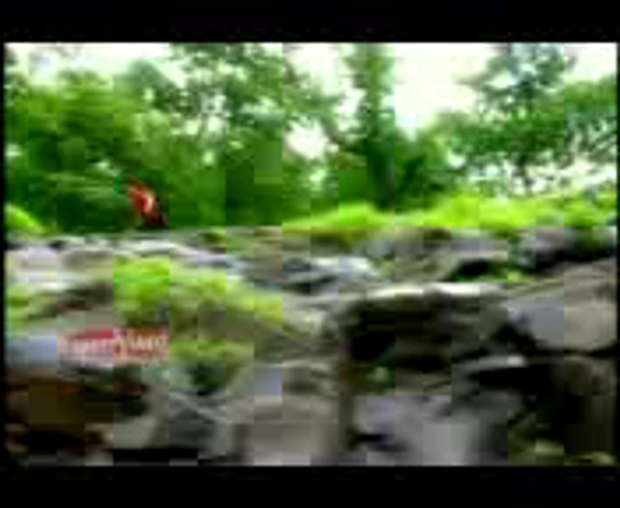 NEW SONG BISMILA