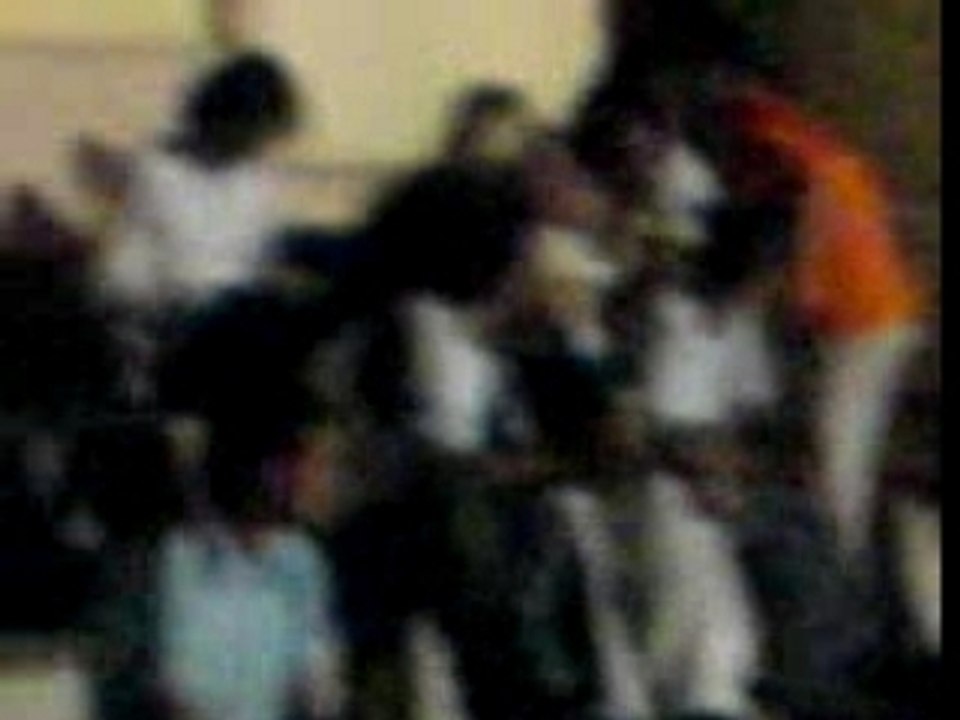 Kosova mitrovica party