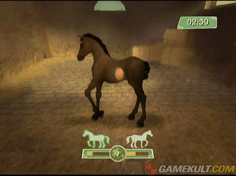 Alexandra Ledermann : Le Haras de la Vallée - Pichiche, mon jeune étalon