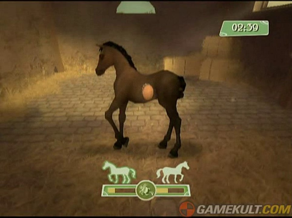 Alexandra Ledermann : Le Haras de la Vallée - Pichiche, mon jeune étalon