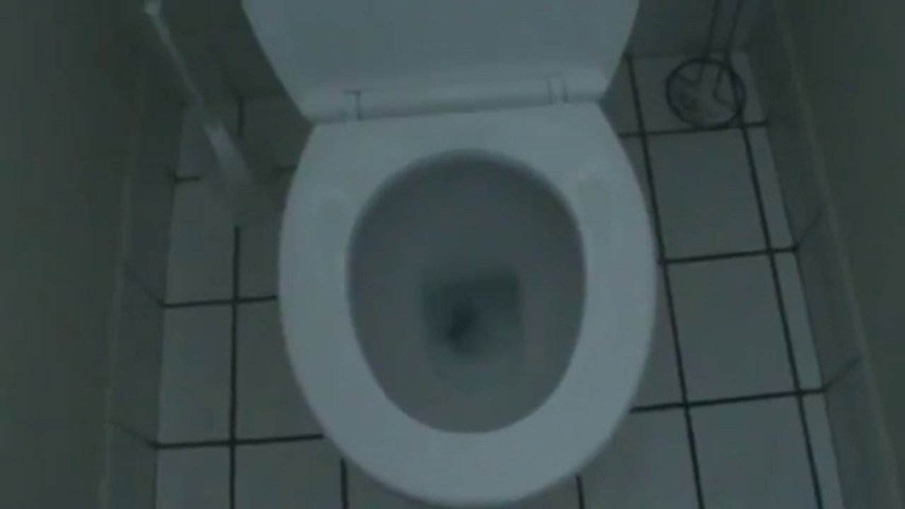 How To Flush a Toilet