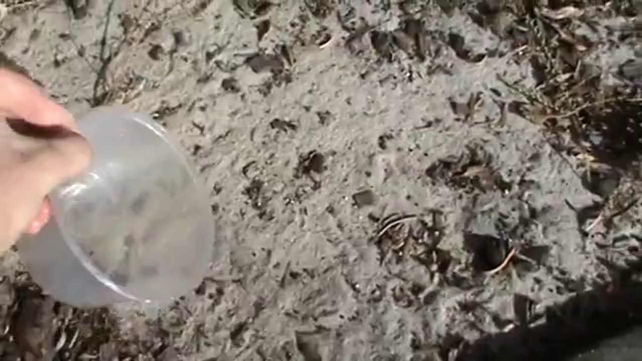 How To Fill up a Plastic Container with Sand