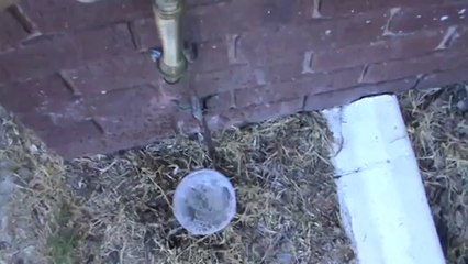 How To Fill up a Plastic Container with Water