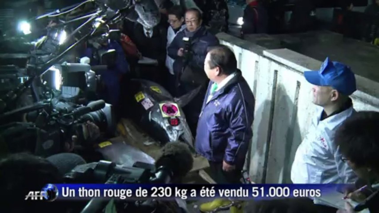 Japon: un thon rouge de 230 kilos vendu pour 51 000 euros