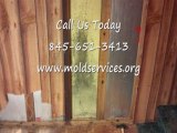Warwick NY Mold Removal 845-651-3413