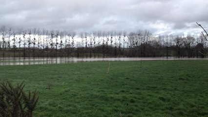 Chez Le Roux, on a les pieds dans l'eau