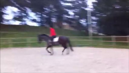 séance avec cécile déc 2013