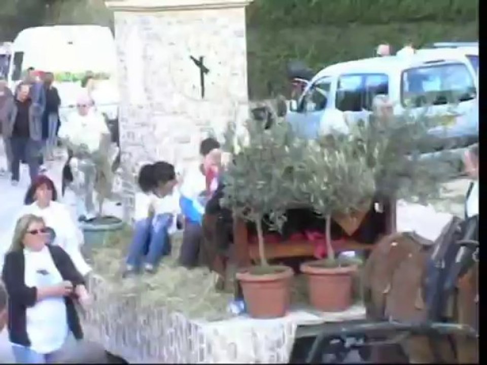 record attelage d'ânes 2013 à Roquevaire