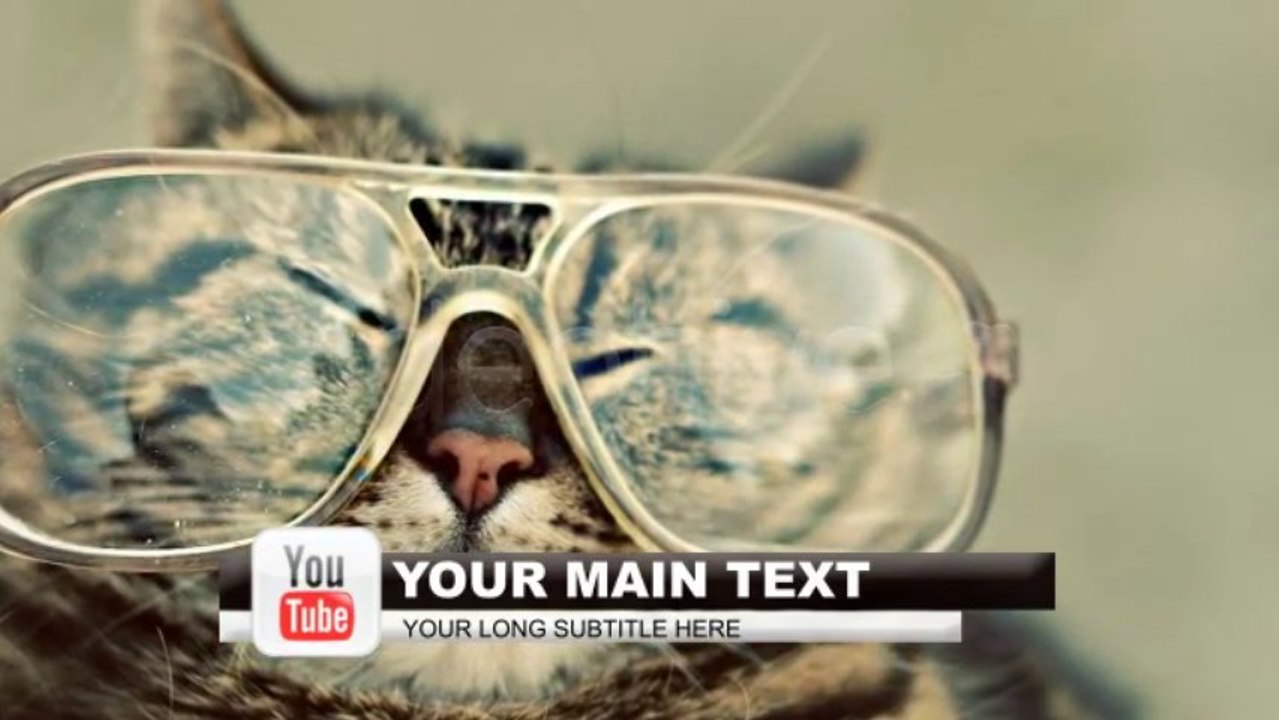 social network lower thirds - After Effects Template