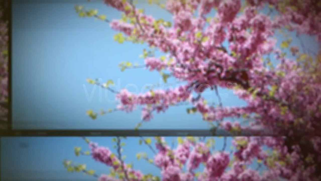 Sliding - After Effects Template